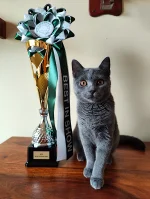 Výstava Pardubice - Leeloo BOB