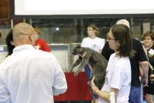 Mezinárodní výstava Cieszyn 2022