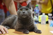 MVM Viničné 2022 - John Lacay Bleu