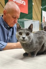 Výstava Pardubice - Leeloo Minai