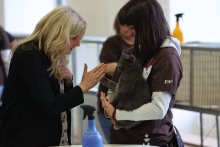 MVK Ostrava 2022 - Amonet Blue Alchemist