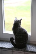 Pirouette de Juma - Hotel