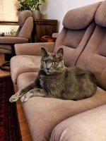 Deianeira Blue Alchemist narozeniny 2026