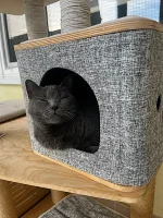 Adora Belle Blue Alchemist narozeniny 2025