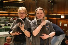 Pirouette and Venus - Vienna 2020