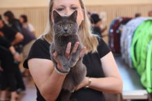 MVK Valtice 2022 - Pirouette de Juma