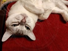 Ally - 13th birthday