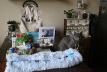 Arduin - Anubis The Legacy