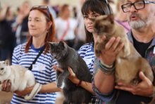 MVK Valtice 2022 - Amonet Blue Alchemist