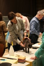 Pirouette Vídeň 2020