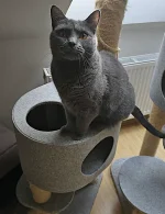 Erelah Blue Alchemist narozeniny 2025