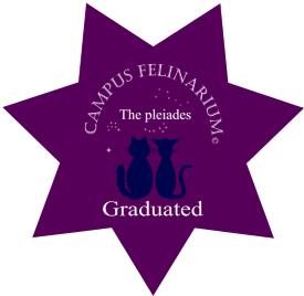 PLE Graduated PLE Graduated